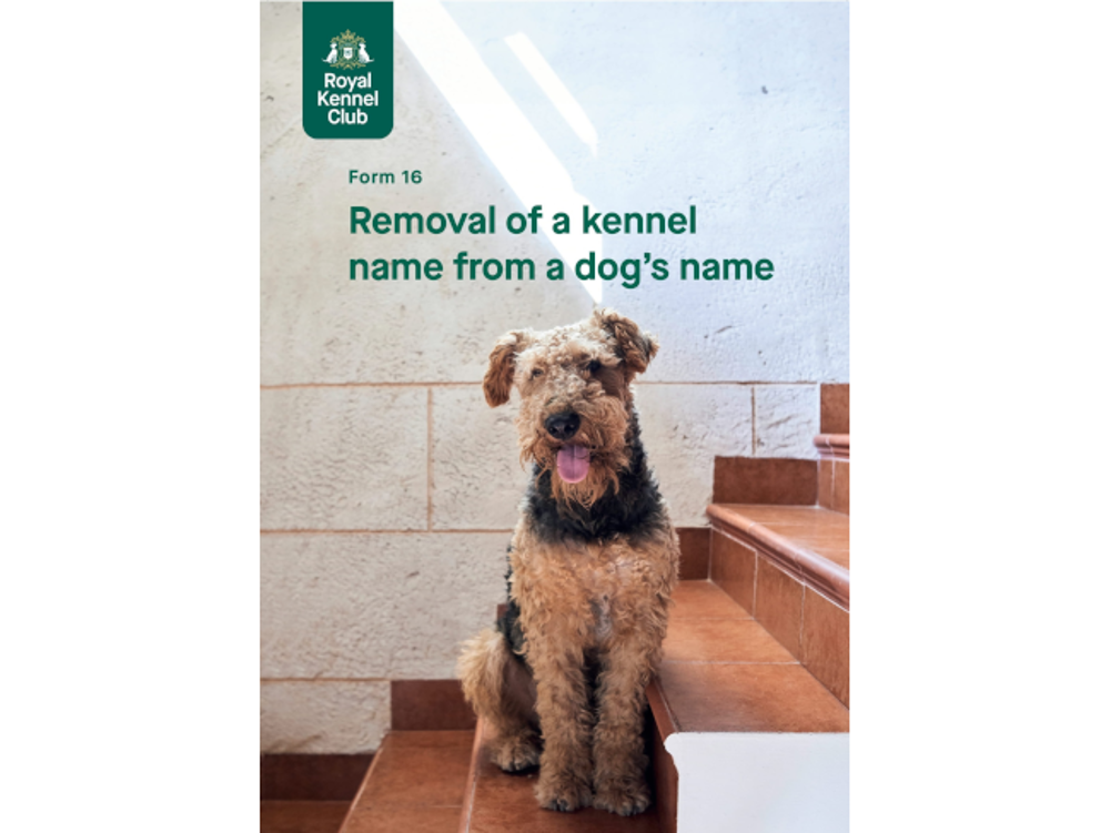 Umbraco.Cms.Infrastructure.PublishedCache.Property