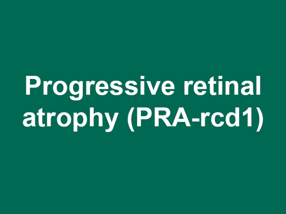 Umbraco.Cms.Infrastructure.PublishedCache.Property