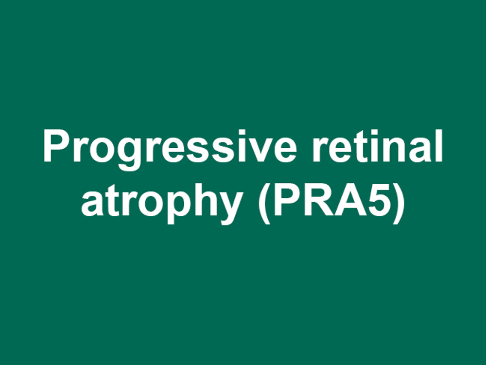 Umbraco.Cms.Infrastructure.PublishedCache.Property