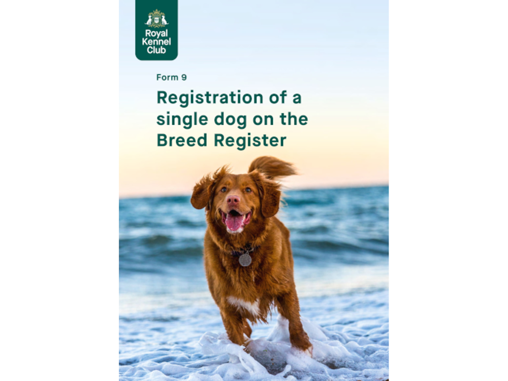 Umbraco.Cms.Infrastructure.PublishedCache.Property