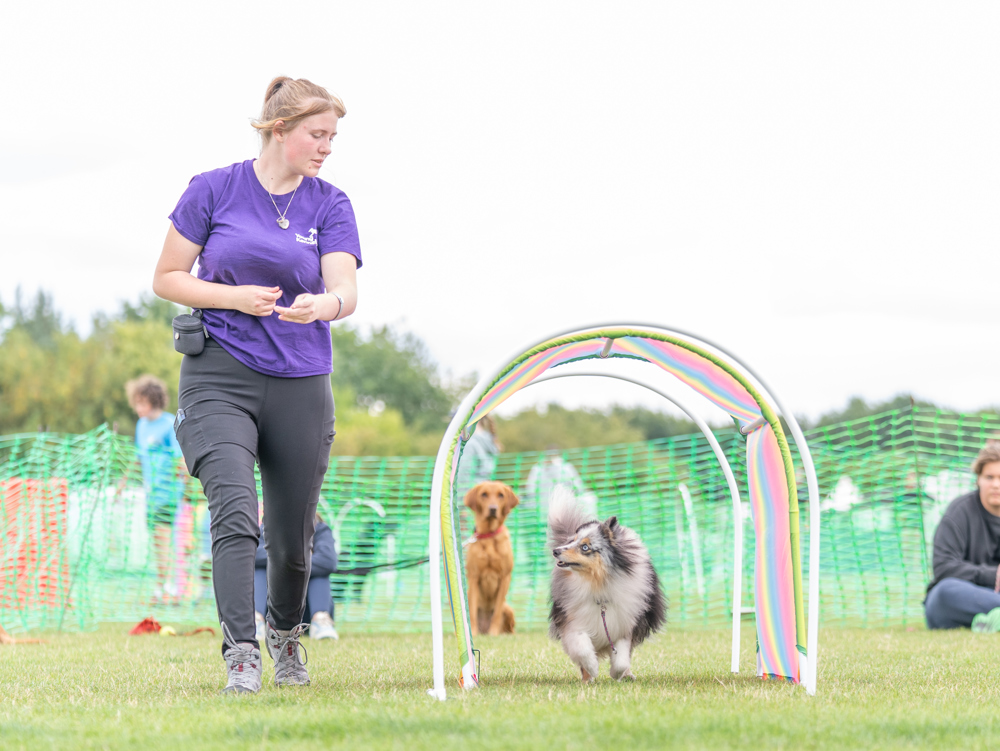 Umbraco.Cms.Infrastructure.PublishedCache.Property