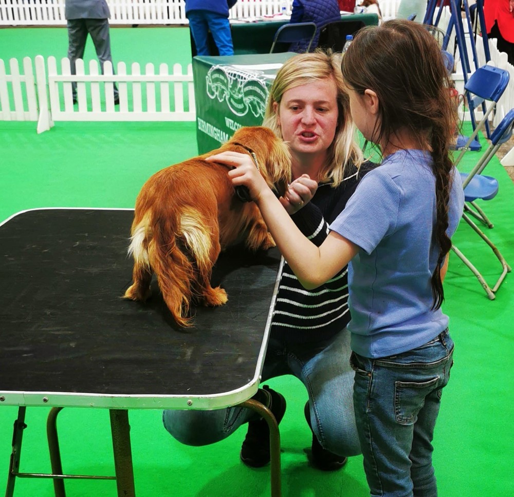 YRKC Handling Experience - Windsor Dog Show
