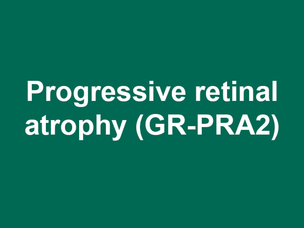 Umbraco.Cms.Infrastructure.PublishedCache.Property