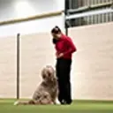 Rachel Oates demonstrating obedience training with a medium shaggy light-brown dog.