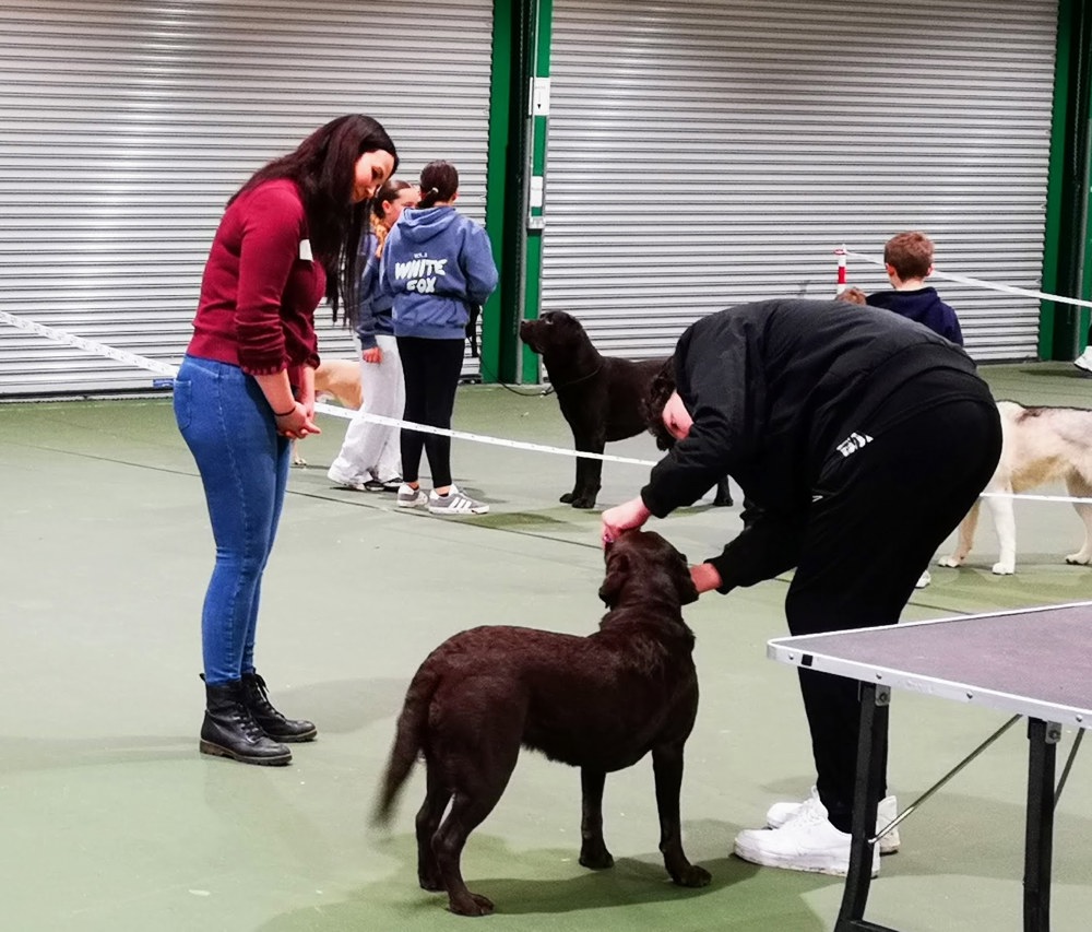 Umbraco.Cms.Infrastructure.PublishedCache.Property