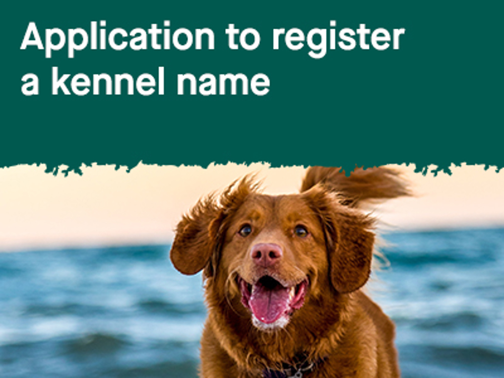 Umbraco.Cms.Infrastructure.PublishedCache.Property