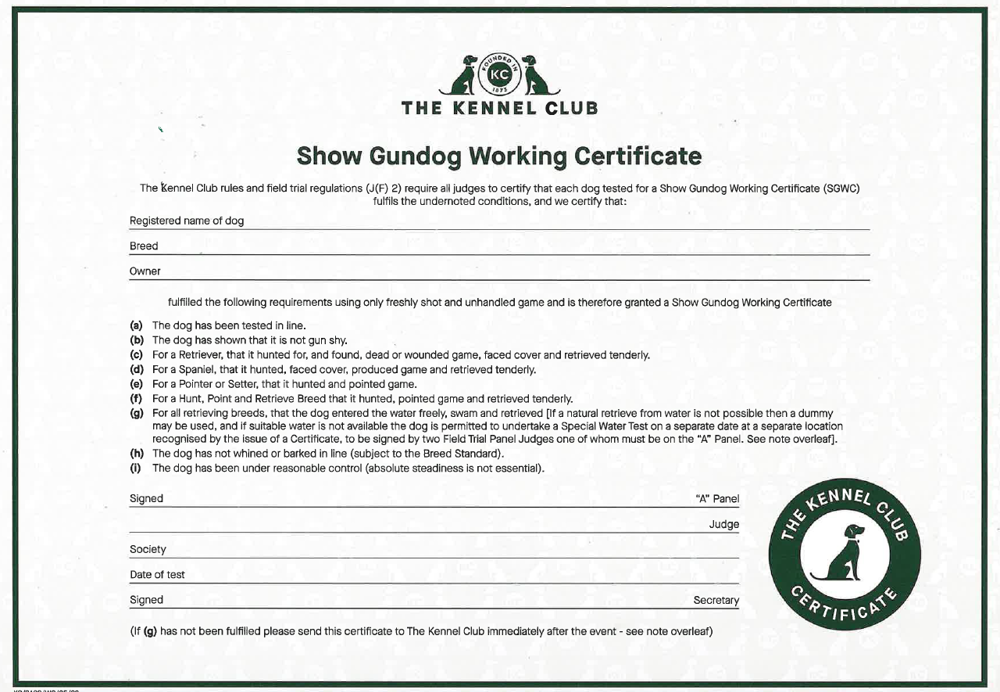 Umbraco.Cms.Infrastructure.PublishedCache.Property