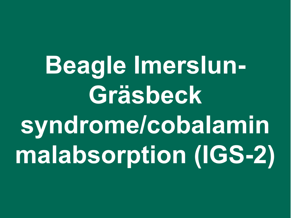 Umbraco.Cms.Infrastructure.PublishedCache.Property