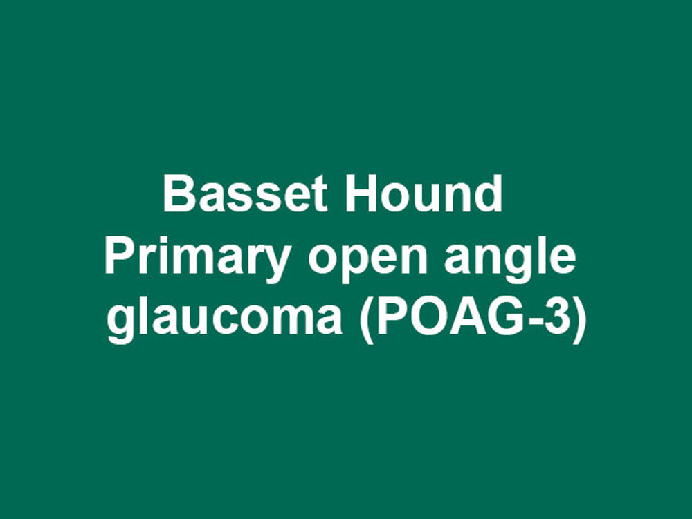 Umbraco.Cms.Infrastructure.PublishedCache.Property