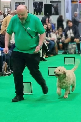 Adrian Dornford-Smith