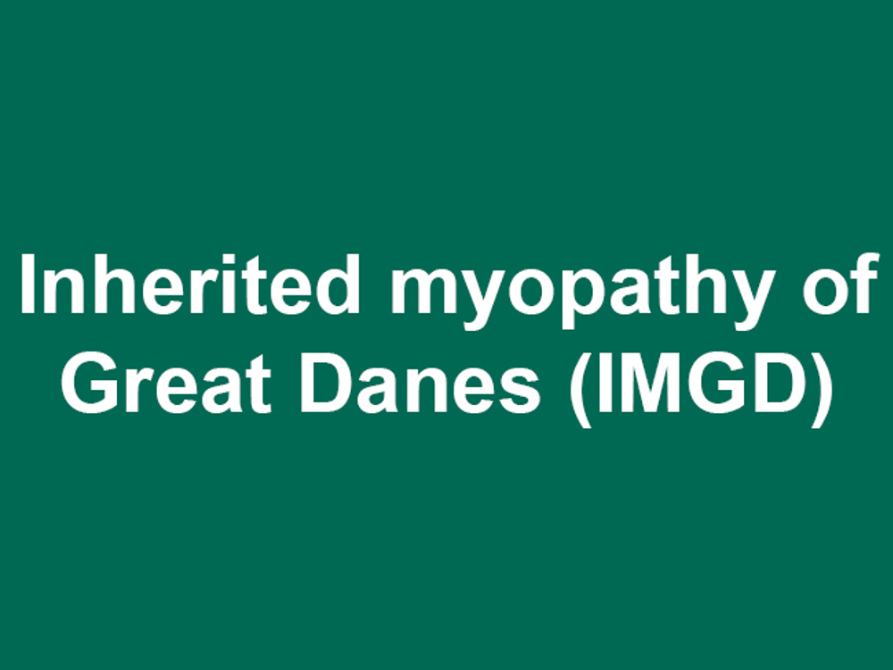 Umbraco.Cms.Infrastructure.PublishedCache.Property