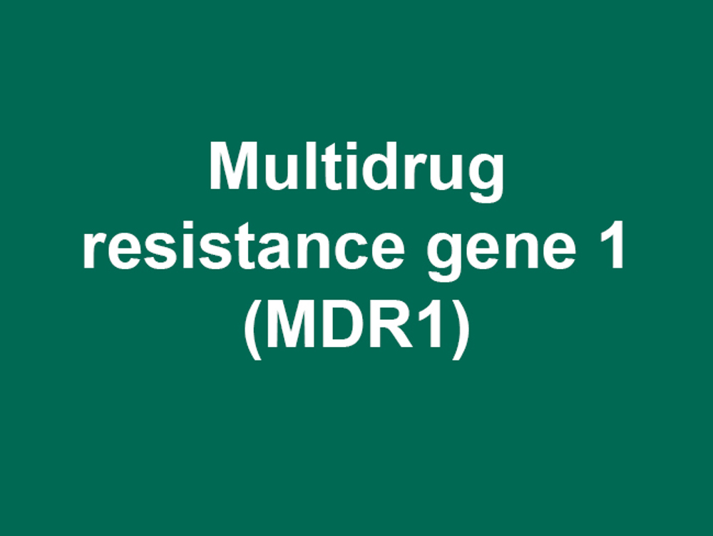 Umbraco.Cms.Infrastructure.PublishedCache.Property