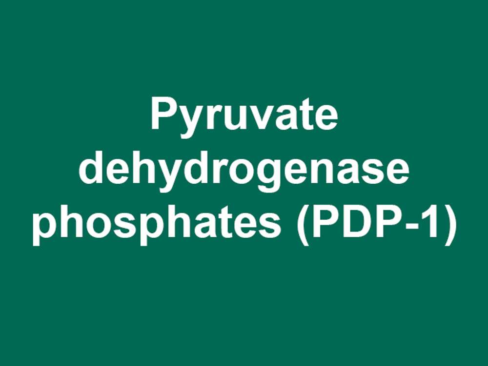 Umbraco.Cms.Infrastructure.PublishedCache.Property