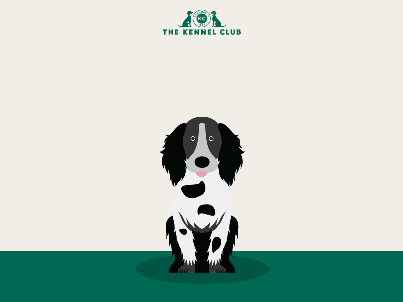 Why does my dog bite themselves? | The Kennel Club