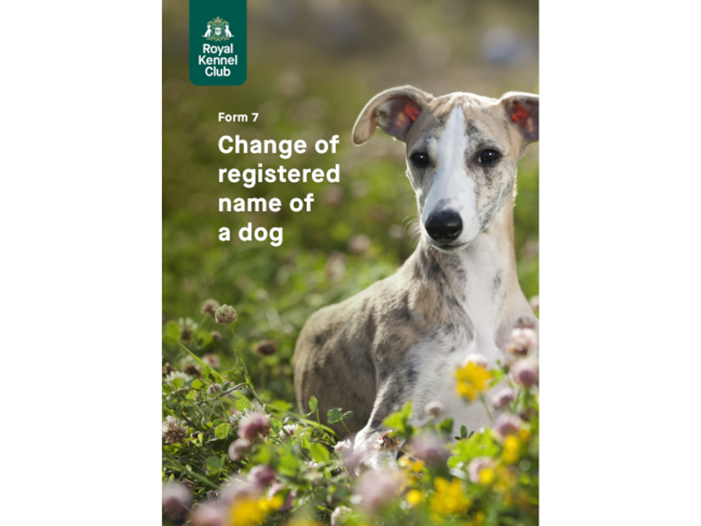 Umbraco.Cms.Infrastructure.PublishedCache.Property