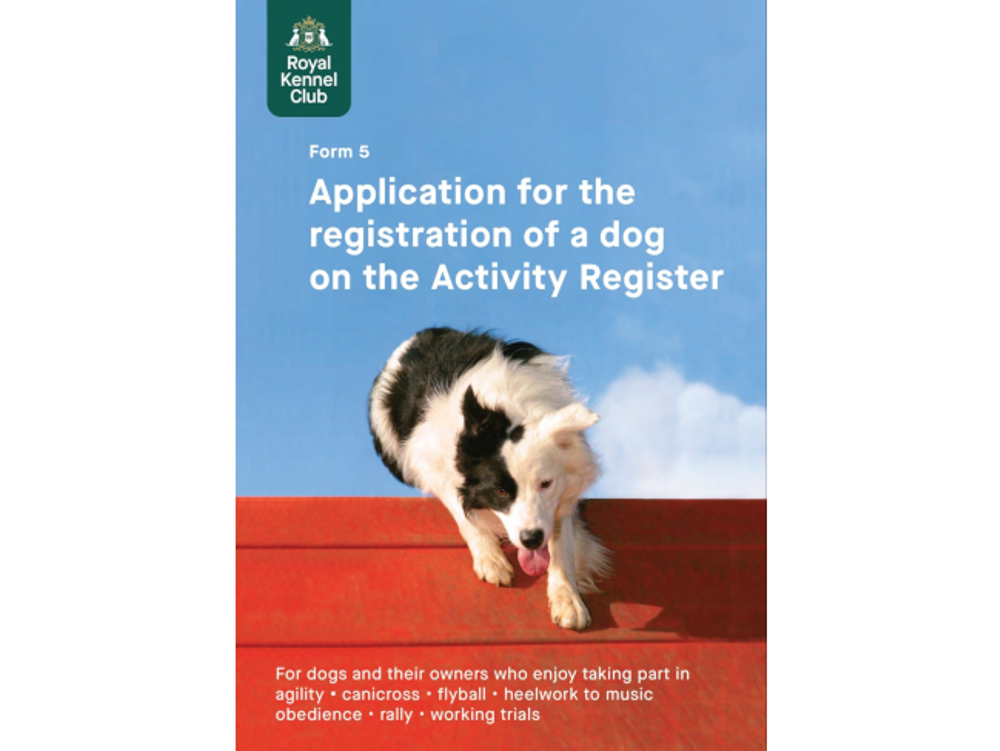 Umbraco.Cms.Infrastructure.PublishedCache.Property